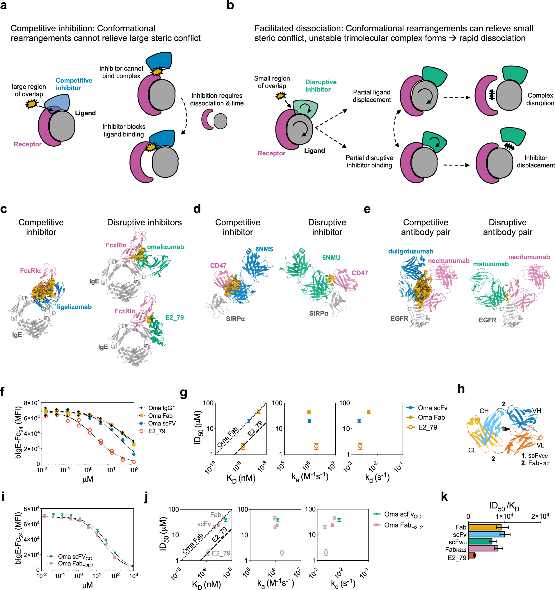 Opportunities for therapeutic antibodies directed at G-protein