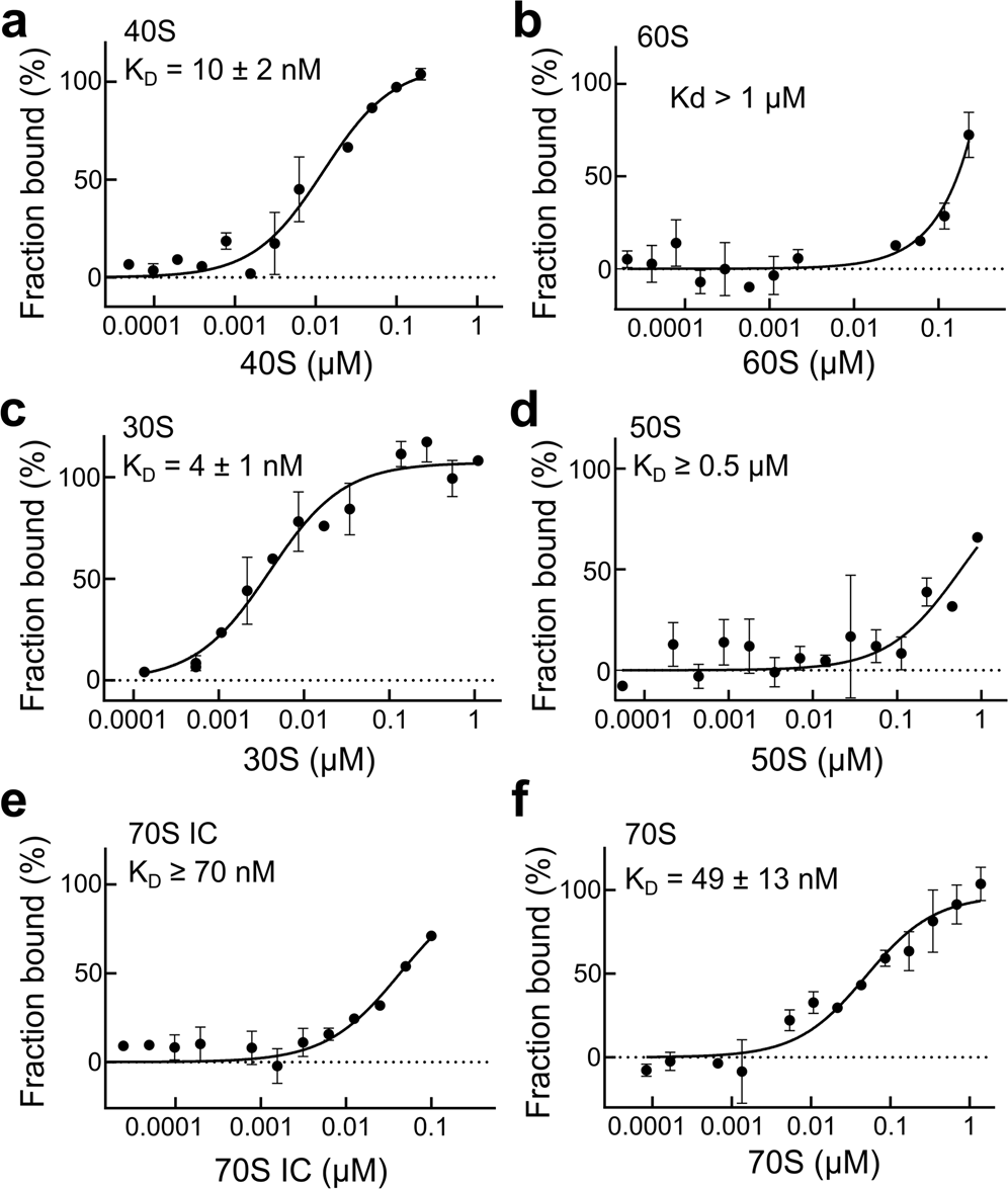 Fig. 4: 2A binds directly to eukaryotic and prokaryotic ribosomes.