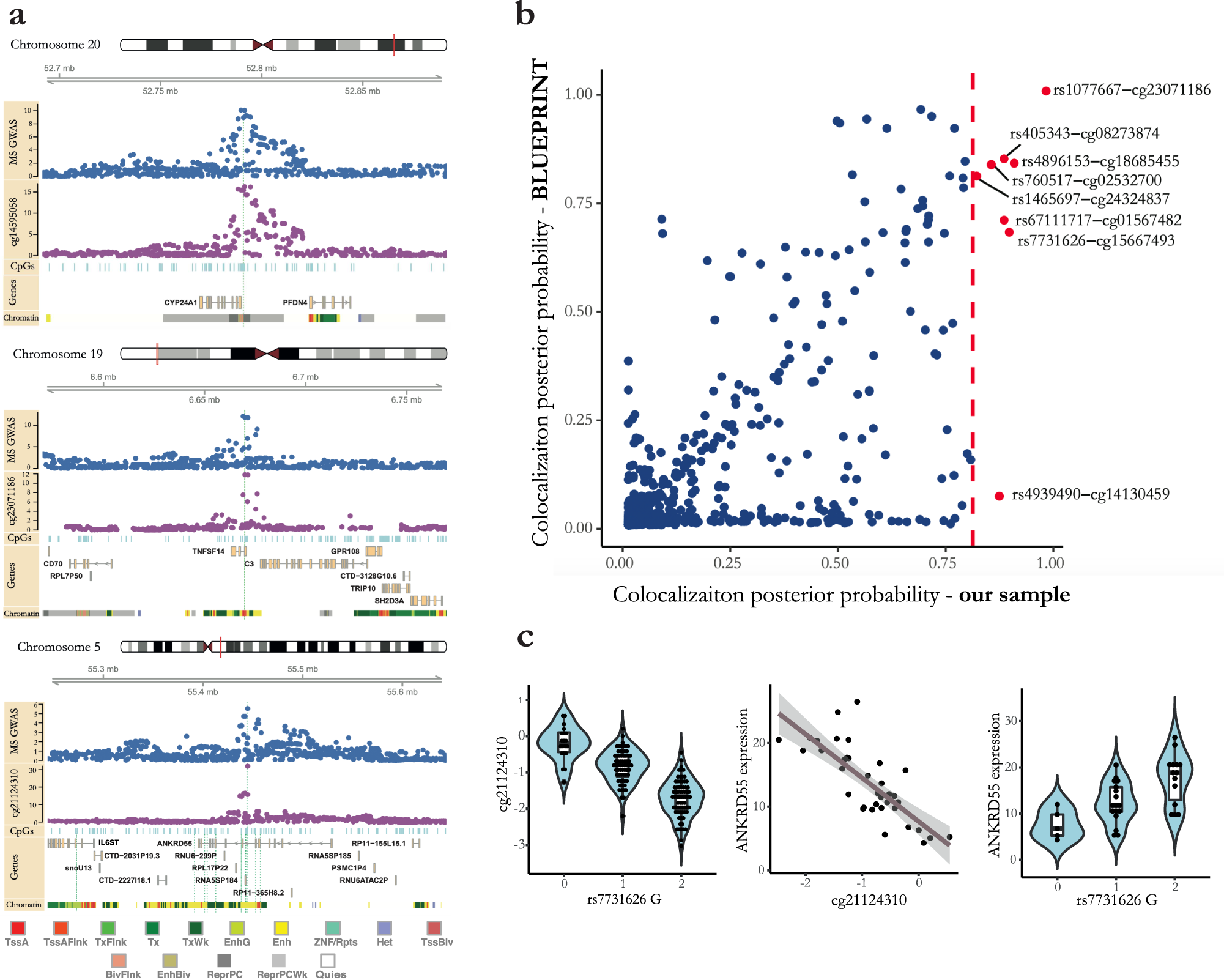 Fig. 2: Colocalized cis-mQTL effects of MS susceptibility loci.