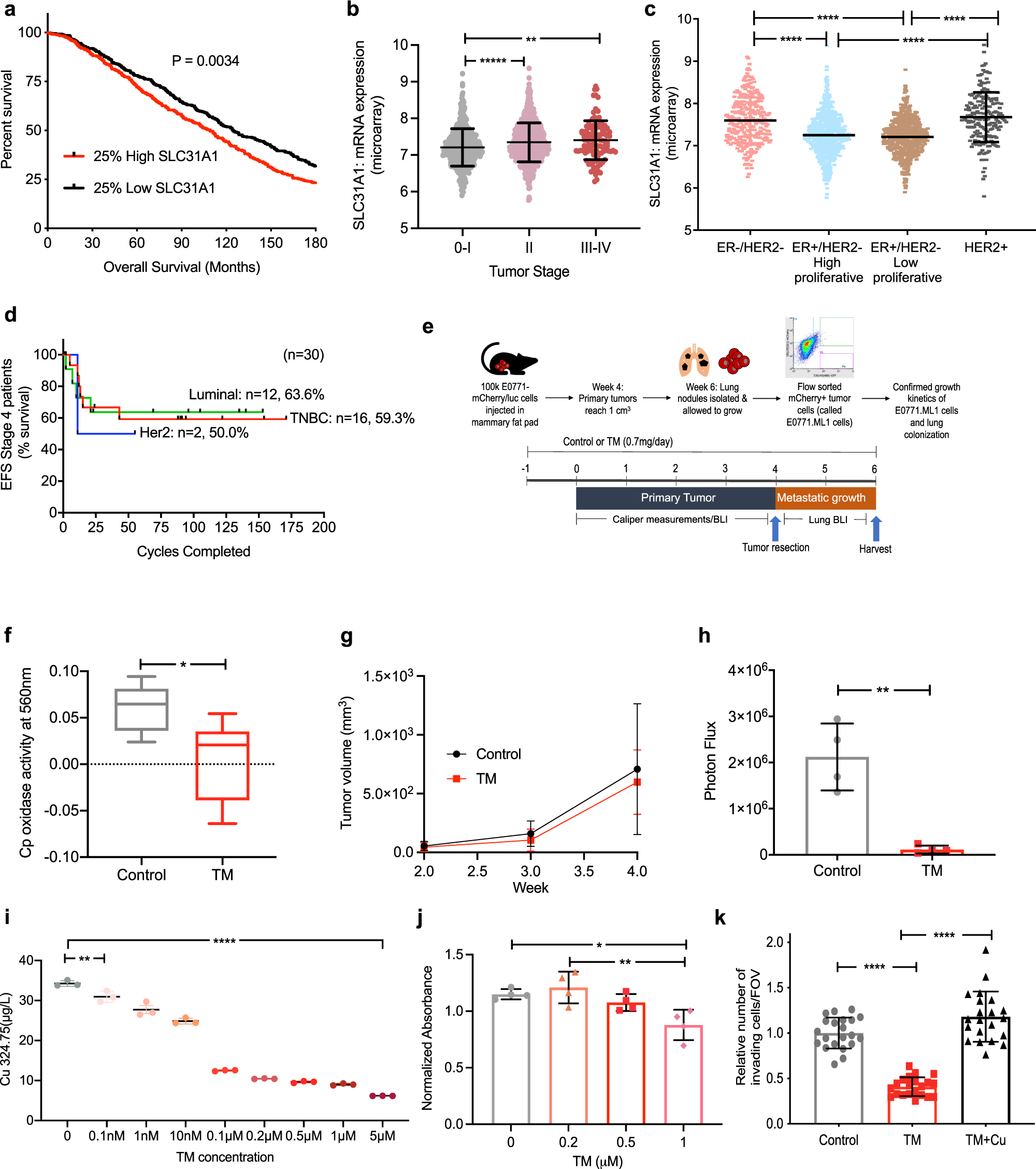 Copper depletion modulates mitochondrial oxidative phosphorylation to  impair triple negative breast cancer metastasis | Nature Communications