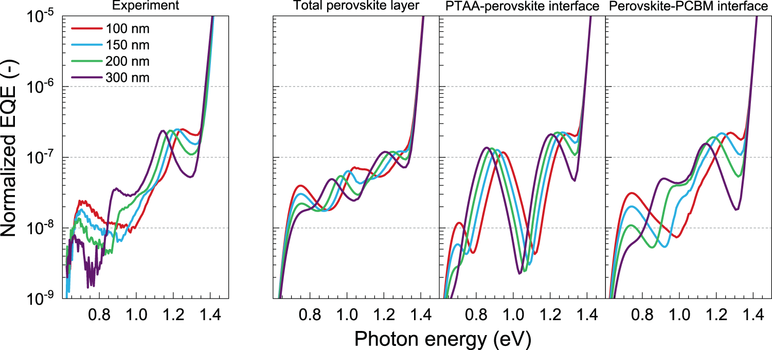 Fig. 4: Experimental and modeled EQE spectra of perovskite solar cells with a transparent back contact and a spacer mirror on top.