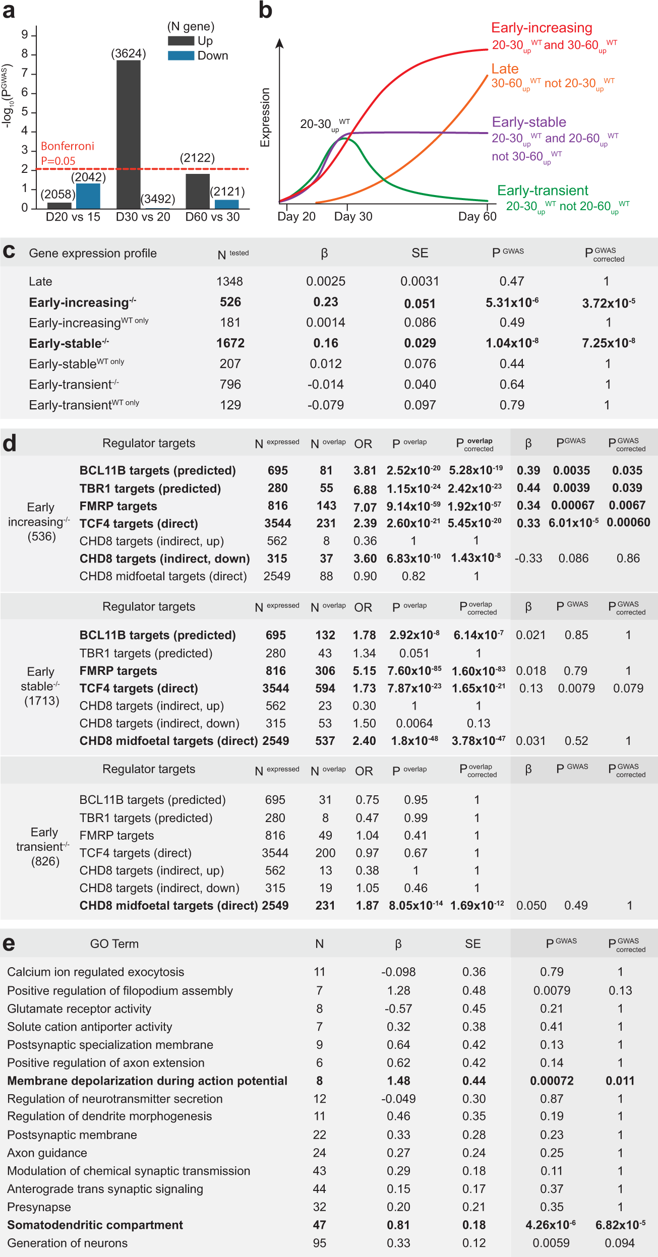 Fig. 4: DLG2 regulates a cascade of transcriptional programs driving neurogenesis & differentiation.