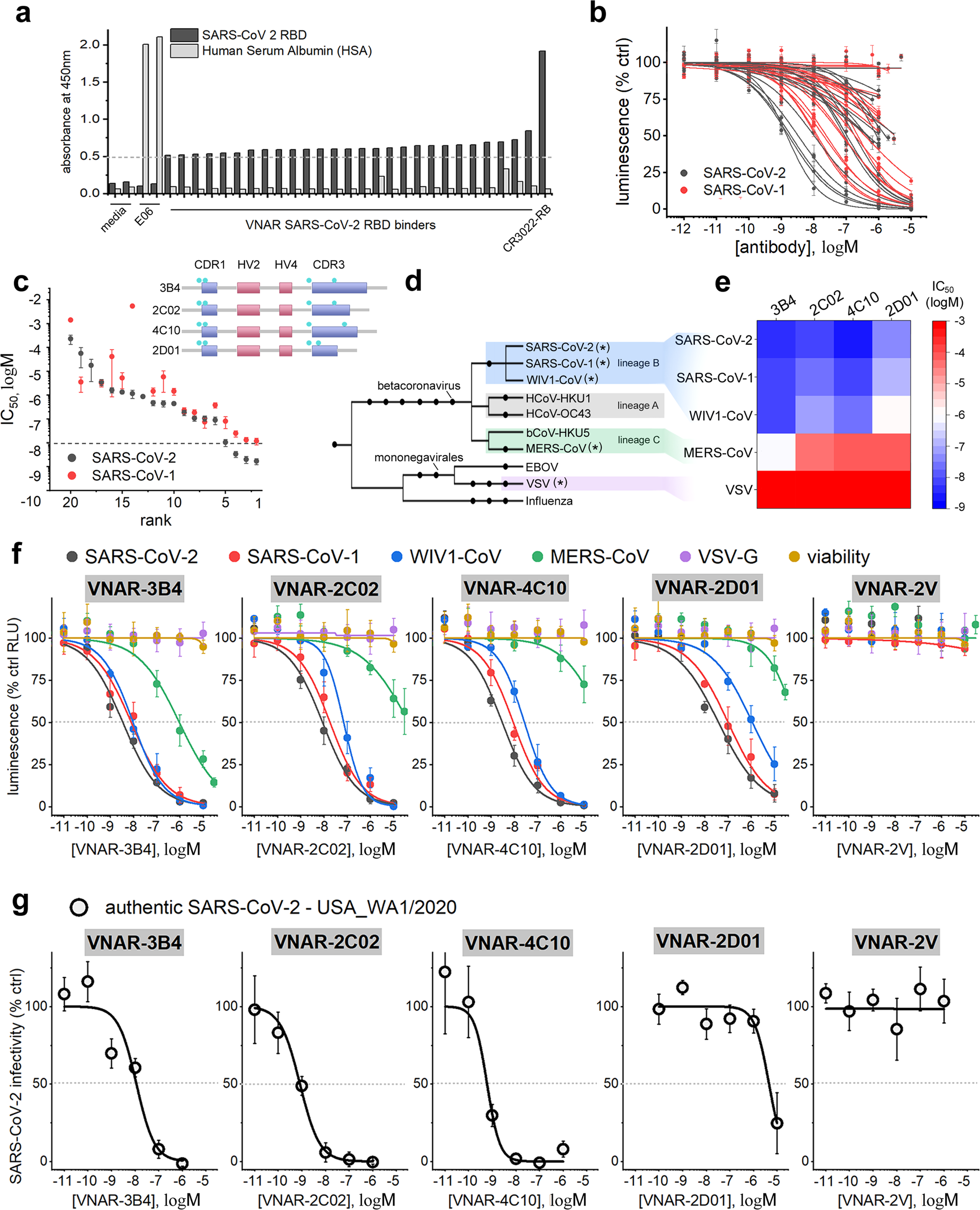 Mechanisms of SARS-CoV-2 neutralization by shark variable new antigen  receptors elucidated through X-ray crystallography | Nature Communications