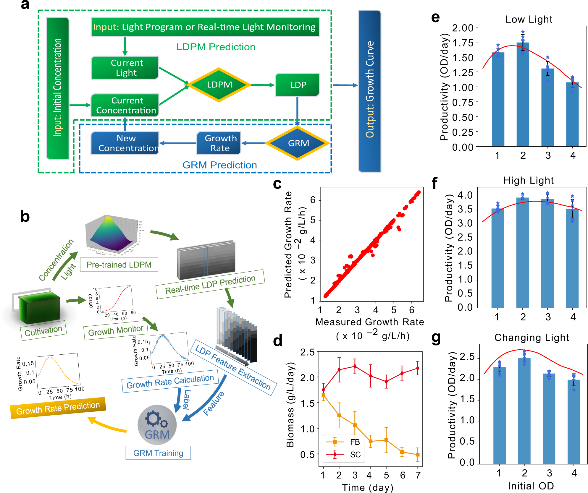 Fig. 2: Growth rate prediction, growth simulation and semi-continuous algal cultivation (SAC).