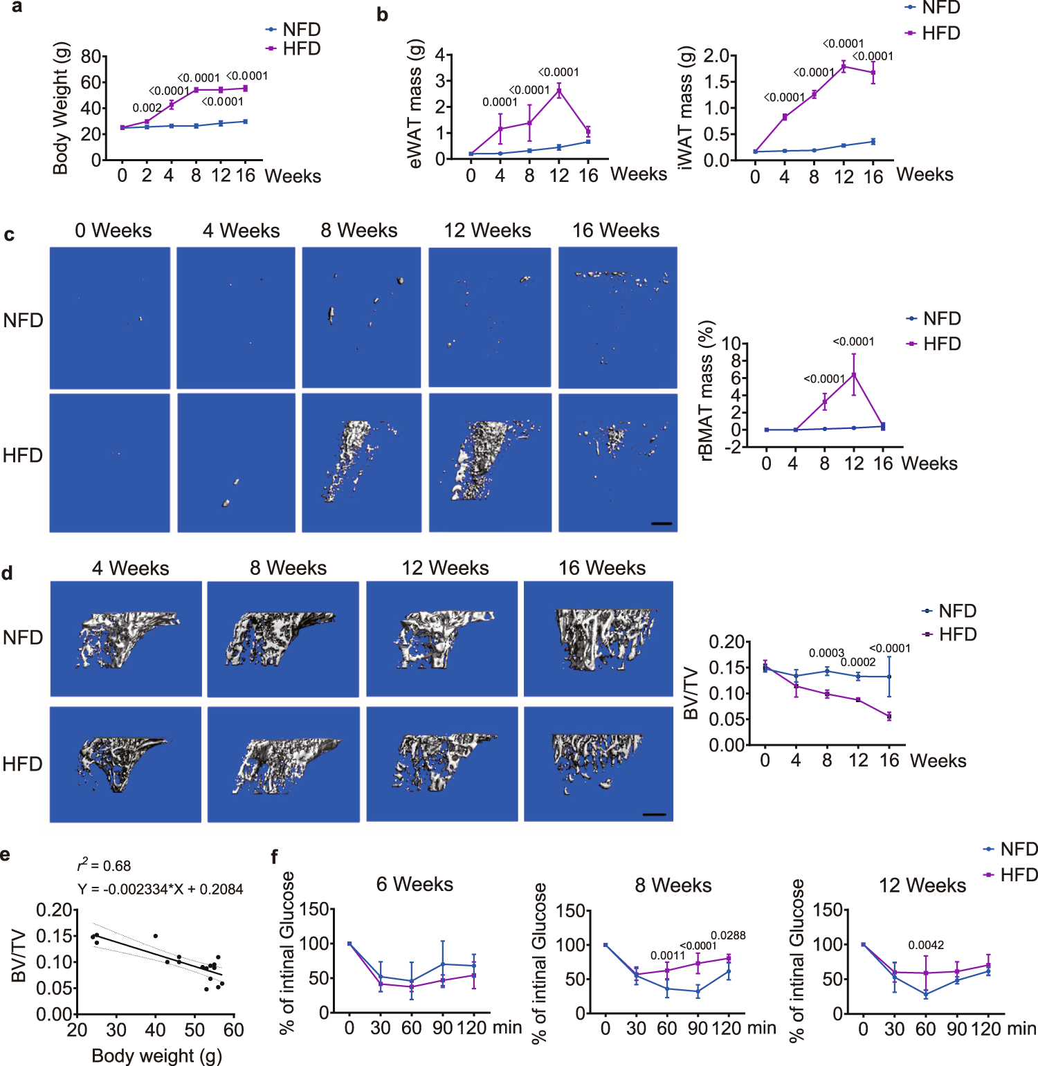 Fig. 1: A high-fat diet induces alterations of adipose tissue and trabecular bone.