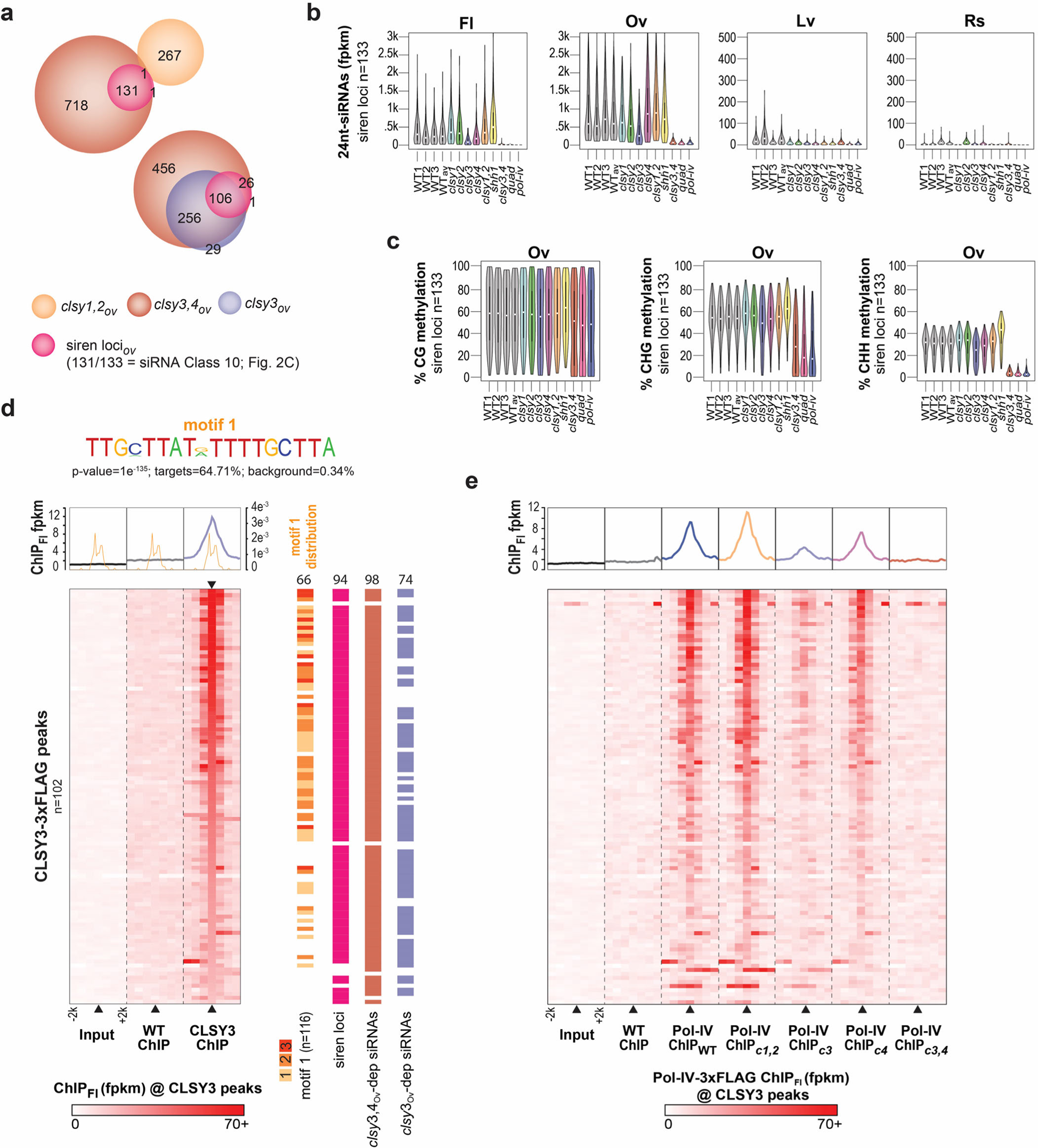 Fig. 4: CLSY3 and CLSY4 are required for 24nt-siRNA production and Pol-IV recruitment at siren loci.