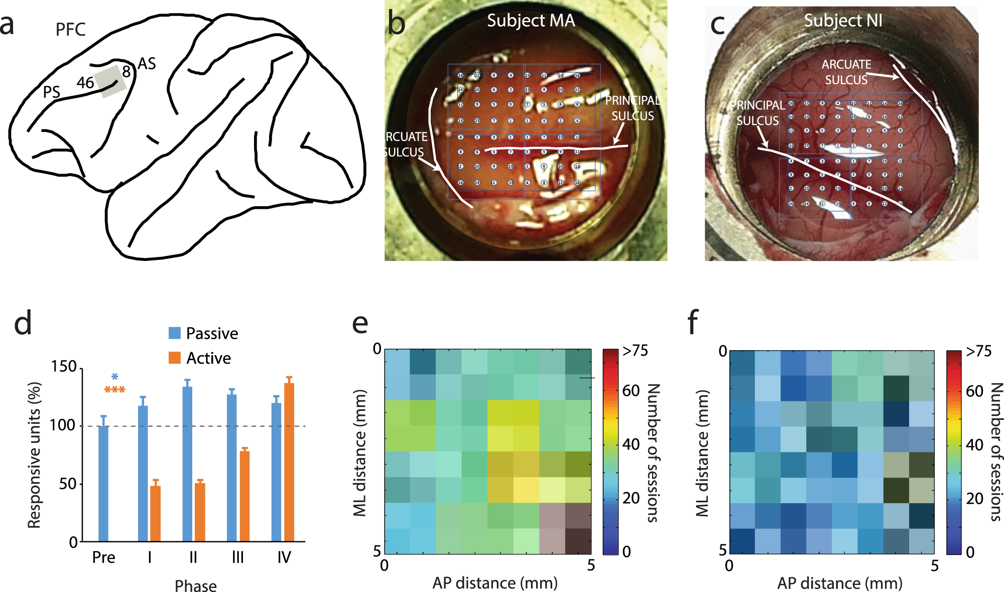 Fig. 2: Chronic array recordings.