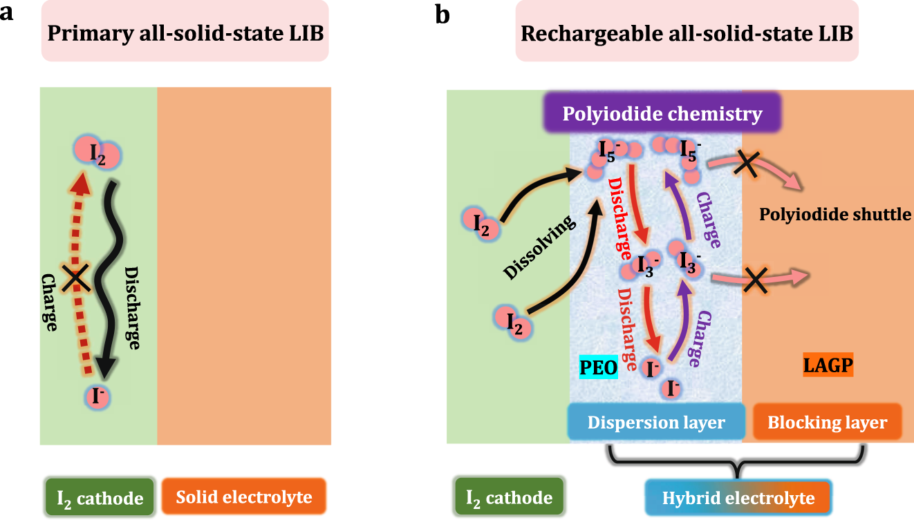 Achieving long cycle life for all-solid-state rechargeable Li-I2 battery by  a confined dissolution strategy | Nature Communications