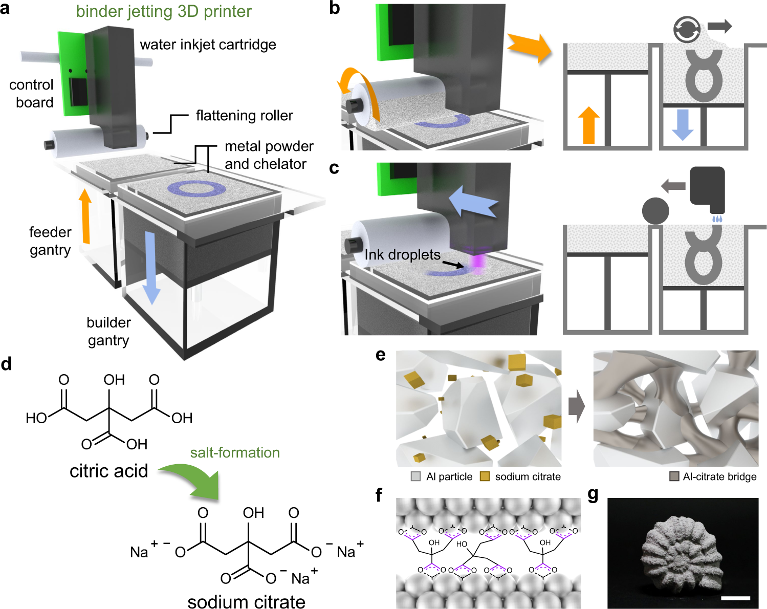 A general fruit acid chelation route for eco-friendly and ambient 3D  printing of metals | Nature Communications