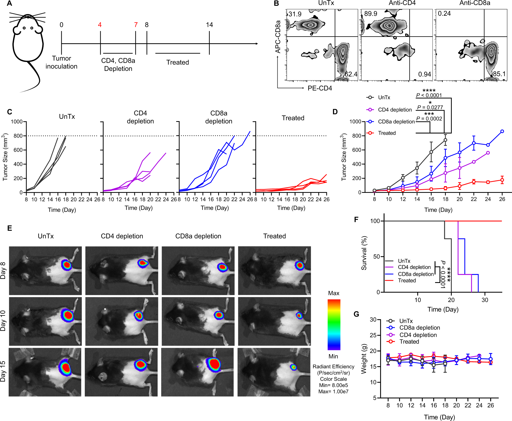 Fig. 5: T-cell-mediated anti-tumor immune responses induced by small size of YCW NPs.