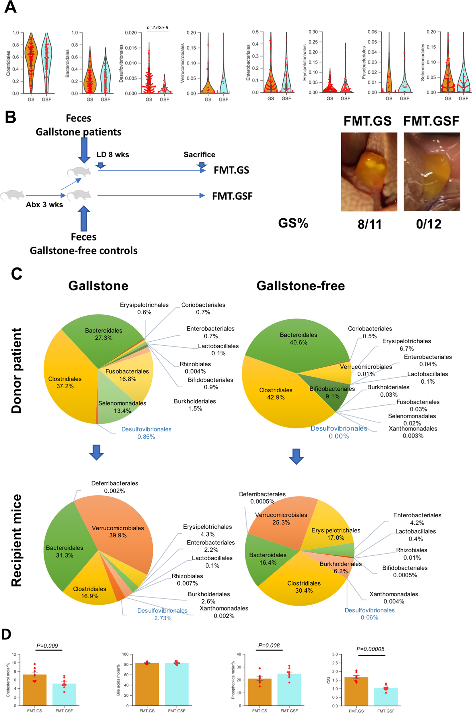 Gut microbiota promotes cholesterol gallstone formation by modulating bile  acid composition and biliary cholesterol secretion | Nature Communications