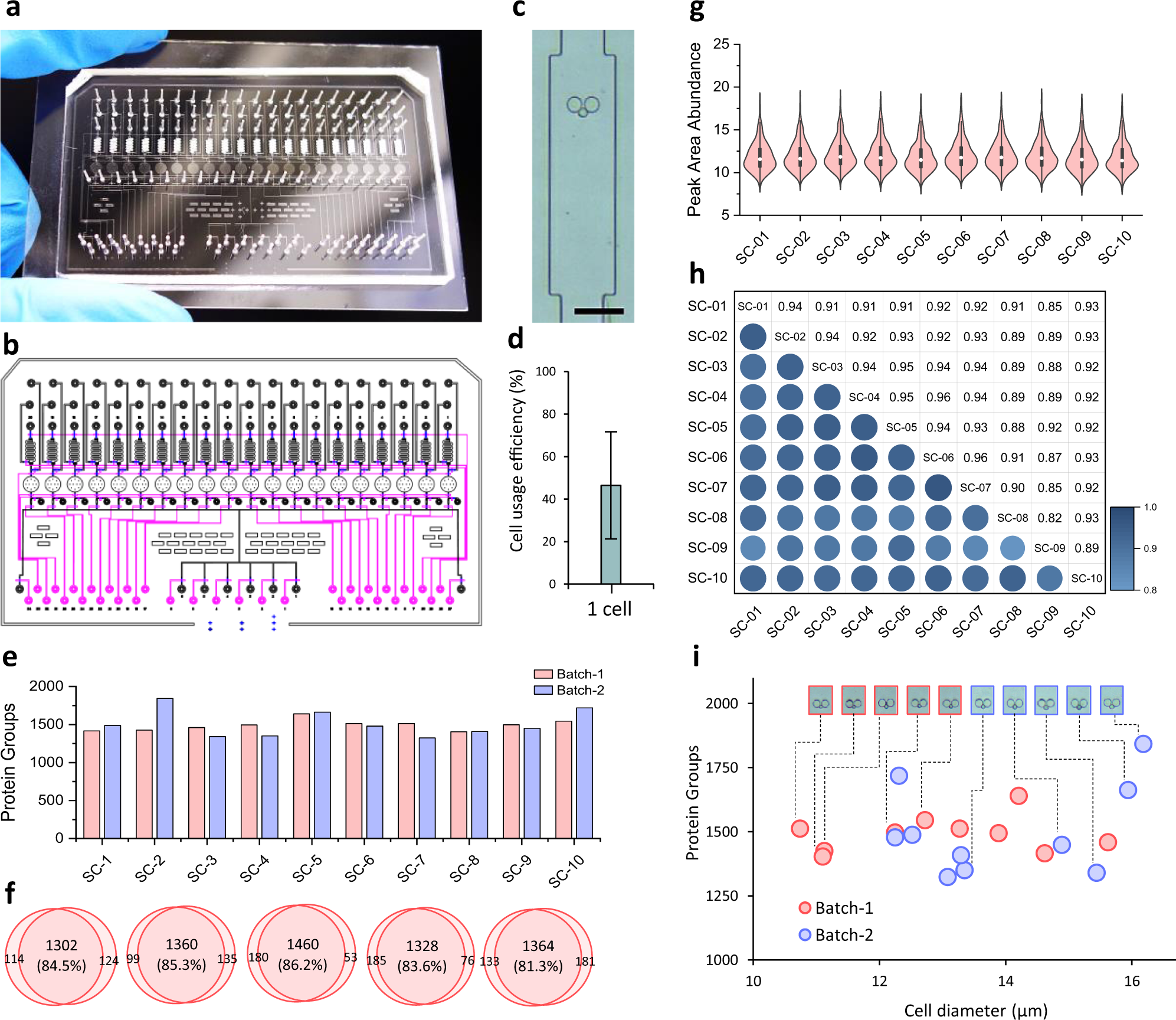 Fig. 6: Single-cell integrated proteomics chip (SciProChip) for 20-plex single-cell proteomic analysis.