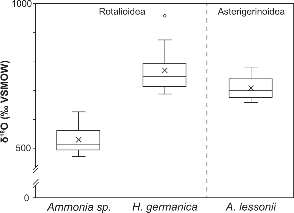 Fig. 3: Bulk 18O-enrichment after incubation.