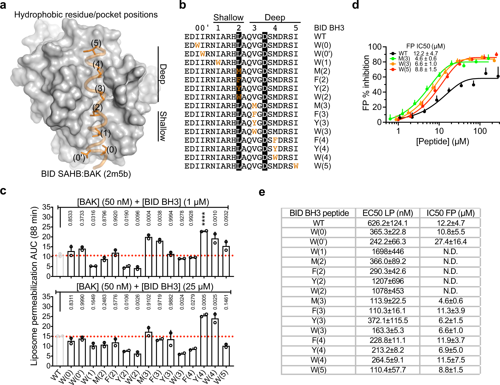 Fig. 4: Surveying activation hotspots in the activation groove of BAK.