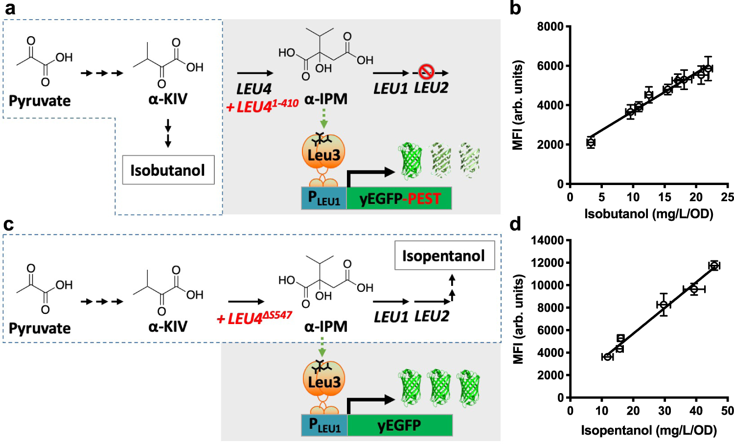 Fig. 1: Design and characterization of two BCHA biosensor configurations.