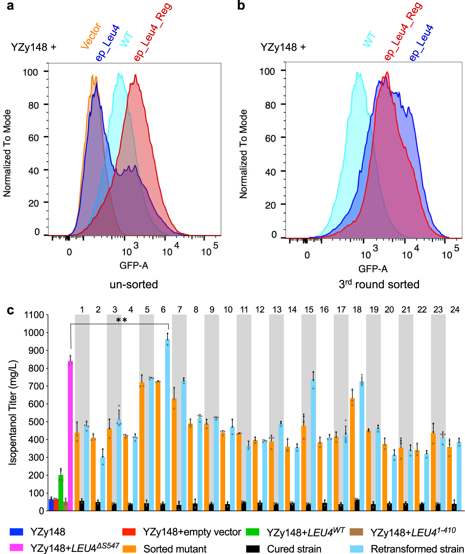 Fig. 4: High-throughput screen for hyperactive Leu4p variants using the isopentanol configuration of the biosensor.