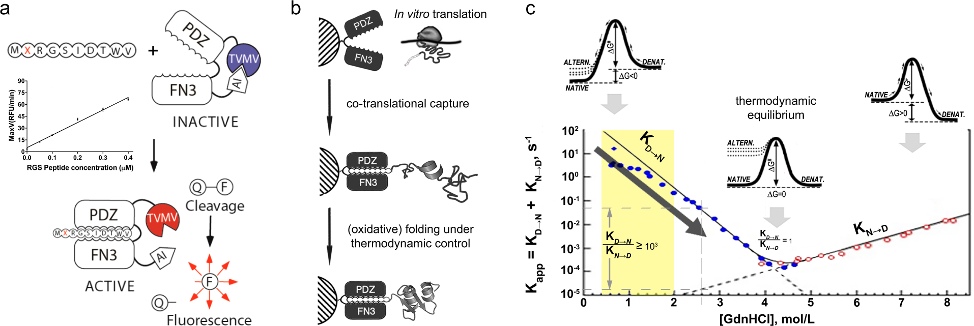 Fig. 1: Affinity-clamp assay, resin-assisted translation workflow, conceptual overview of protein folding.