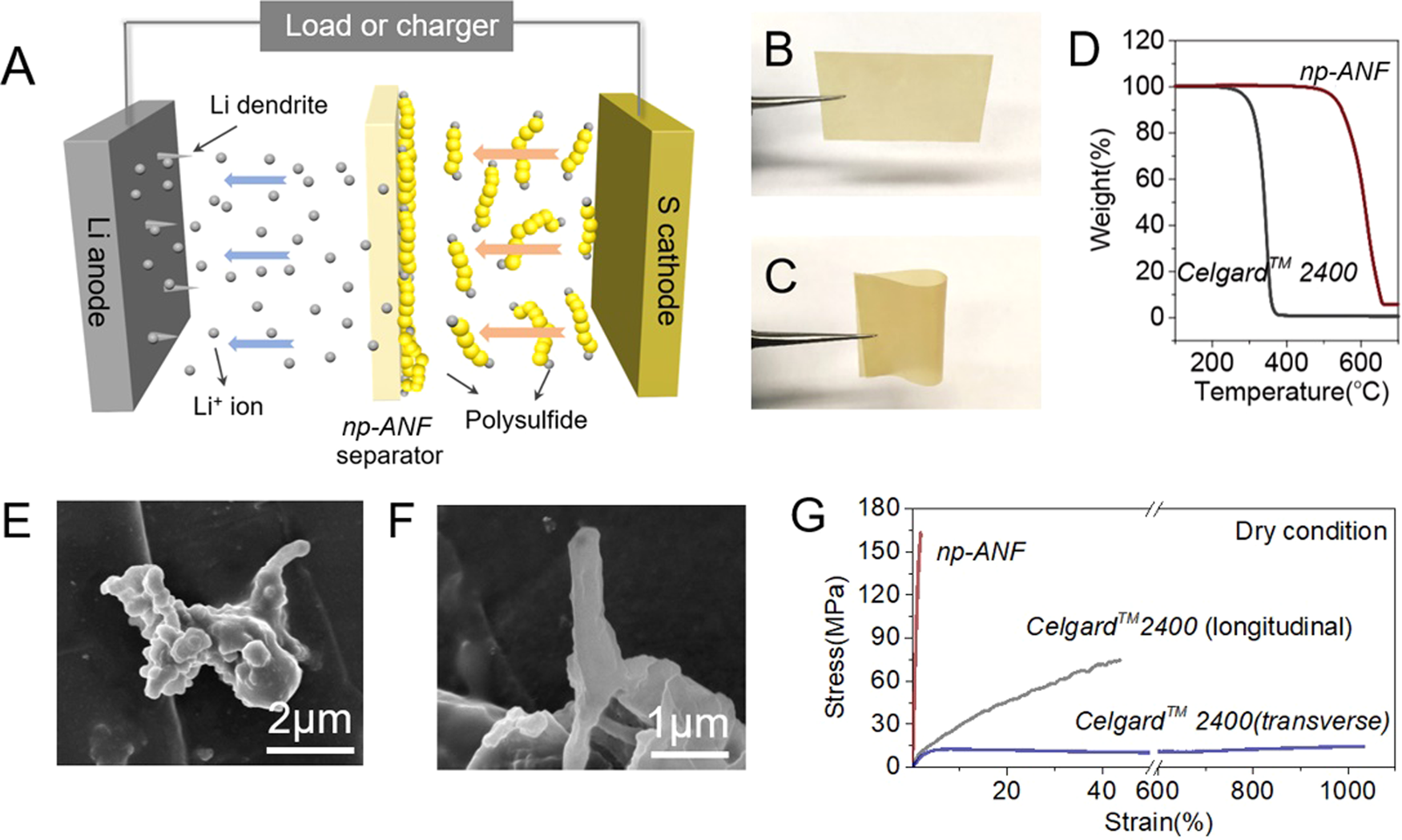 Multifactorial engineering of biomimetic membranes for batteries with  multiple high-performance parameters | Nature Communications