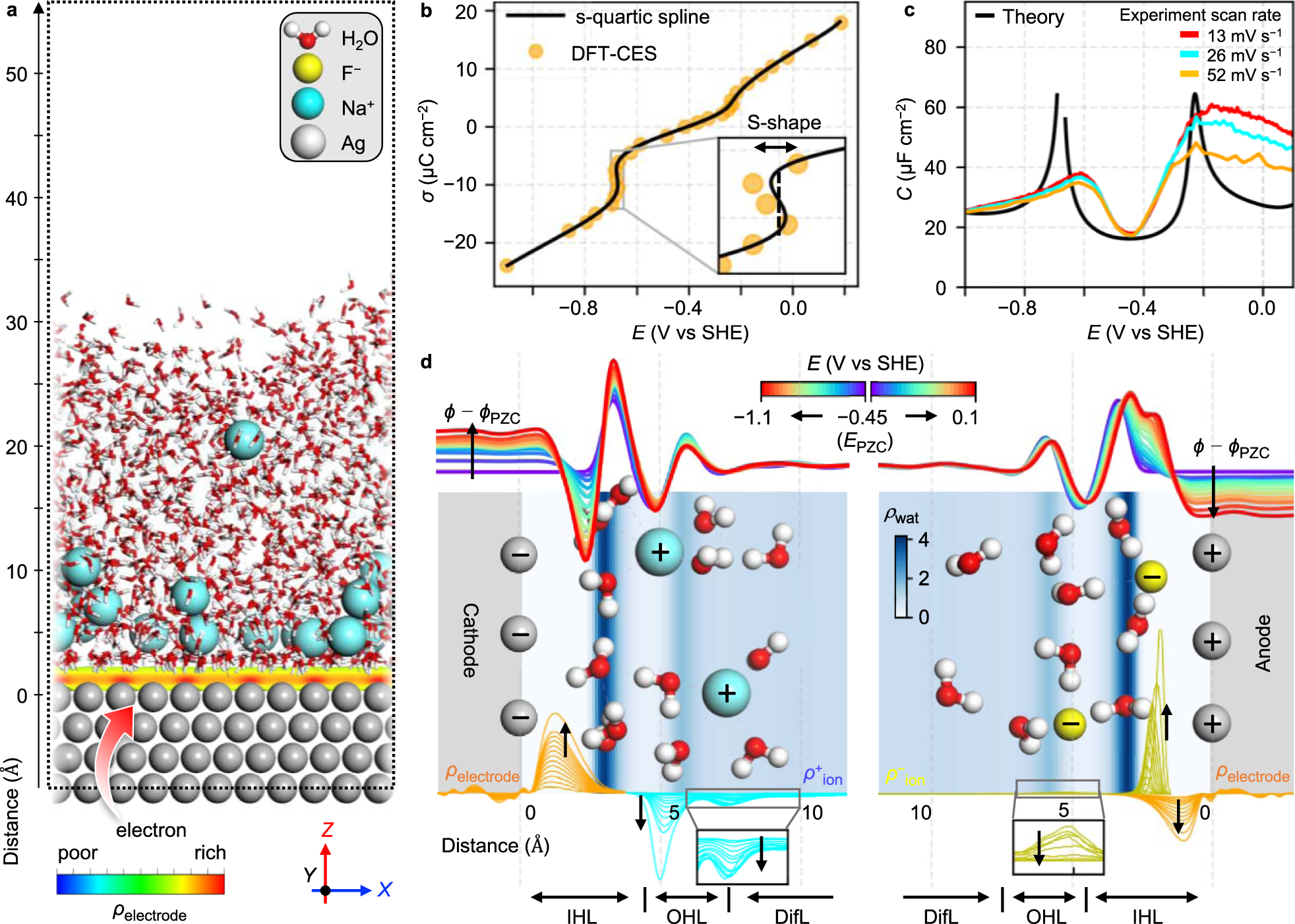 On the importance of the electric double layer structure in aqueous  electrocatalysis