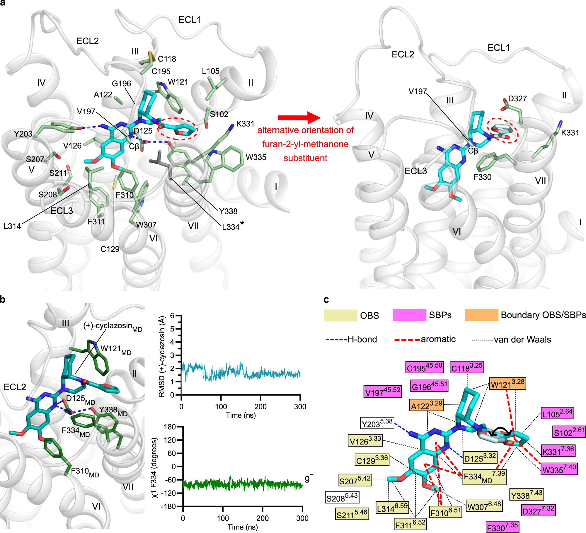 Fig. 2: (+)-Cyclazosin binding pocket in α1BARXTAL.