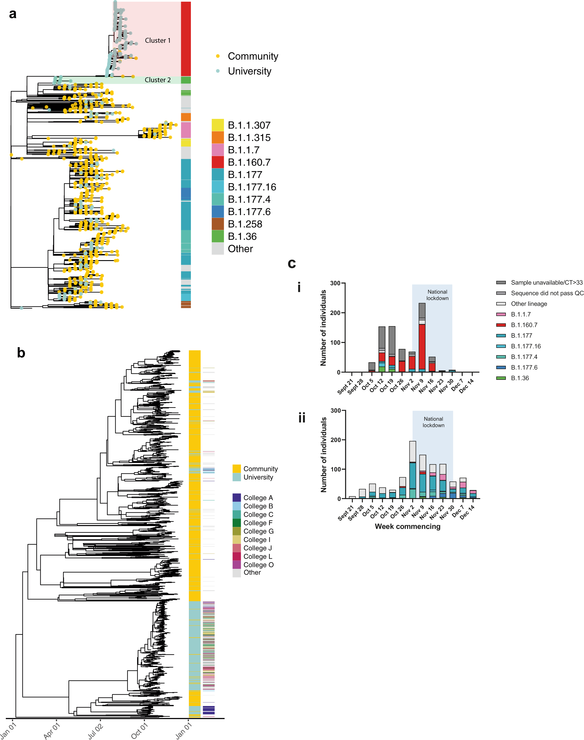 Fig. 2: Genomic diversity of SARS-CoV-2 in the university and community.