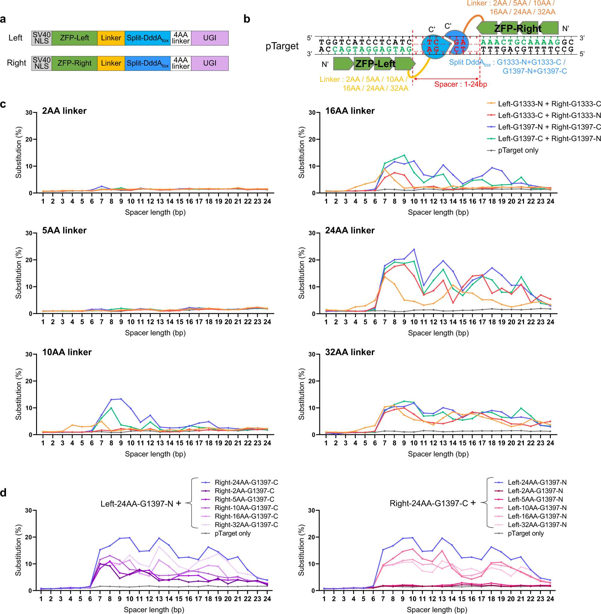Nuclear And Mitochondrial Dna Editing In Human Cells With Zinc Finger Deaminases Nature Communications