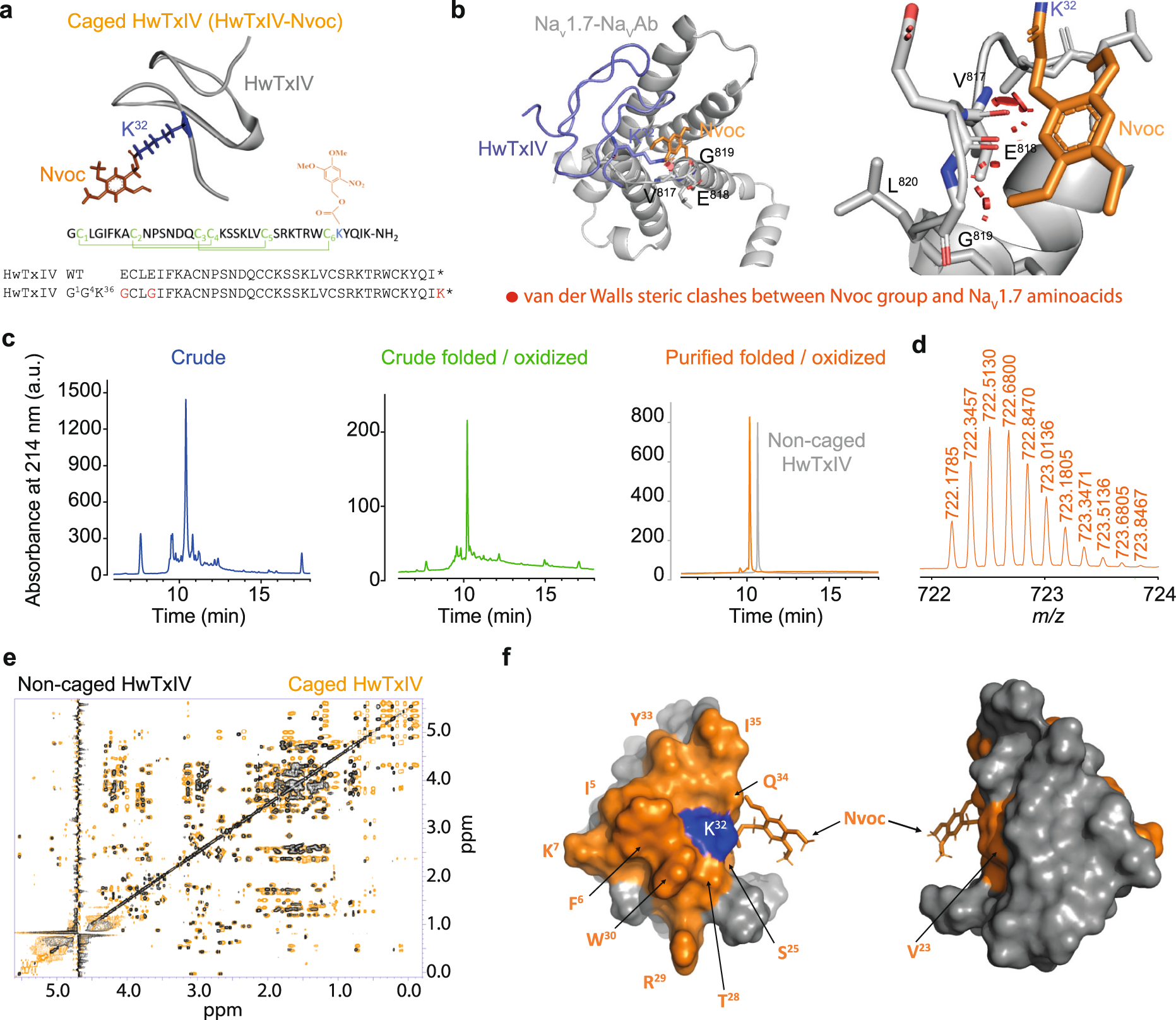 voltage gated ion channels