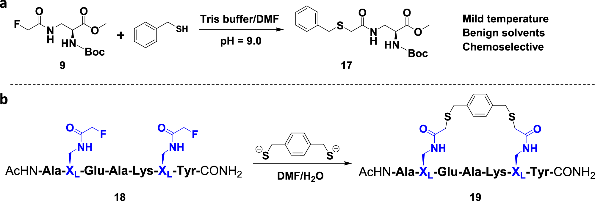 Unprotected peptide macrocyclization and stapling via a fluorine-thiol  displacement reaction | Nature Communications