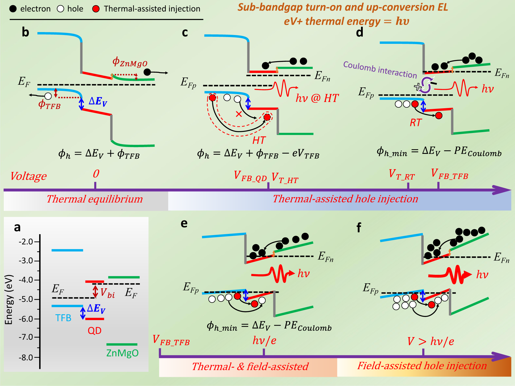 Fig. 2: Charge injection processes in QLEDs.