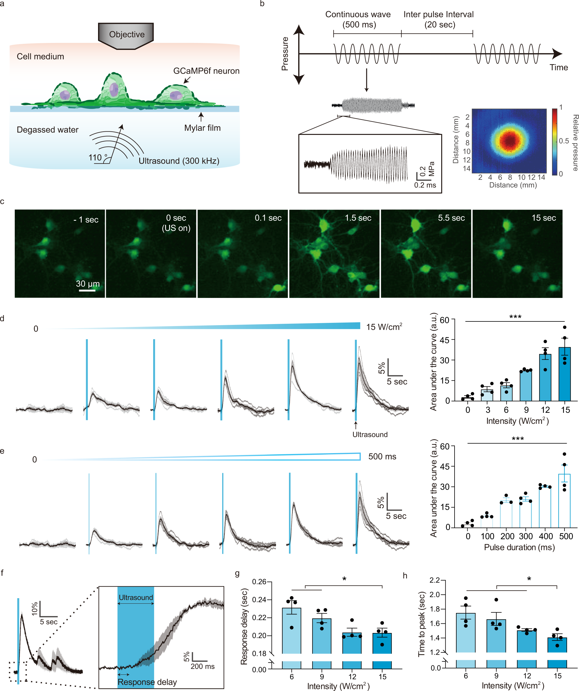 Focused ultrasound excites cortical neurons via mechanosensitive calcium  accumulation and ion channel amplification