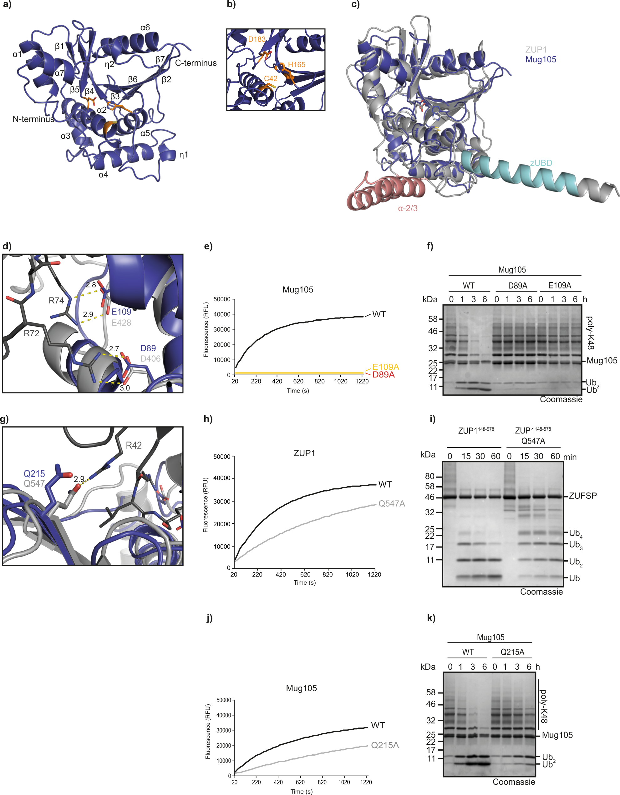 A structural basis for the diverse linkage specificities within the ZUFSP  deubiquitinase family | Nature Communications