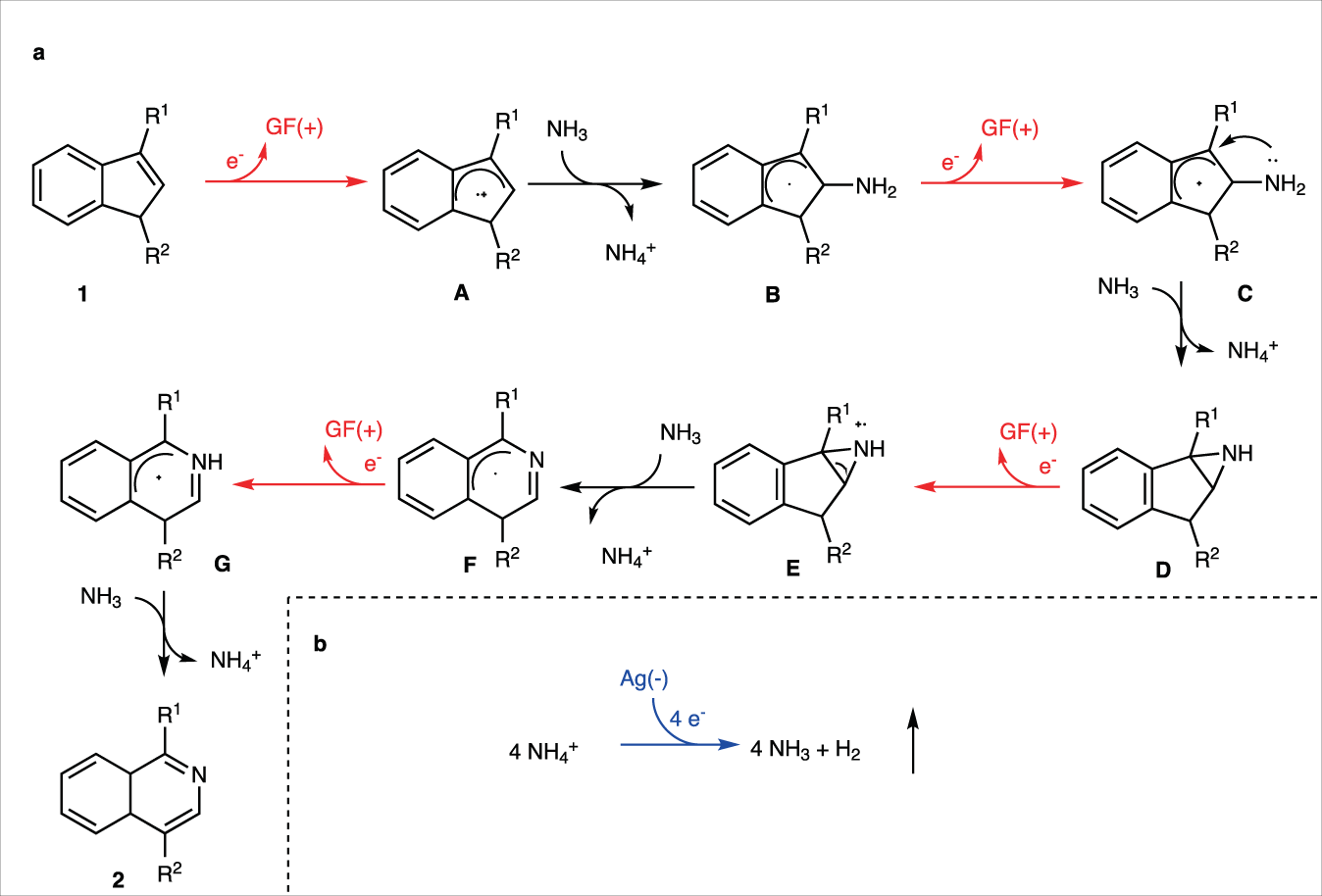 Fig. 5: A plausible reaction pathway involving 4e oxidation.