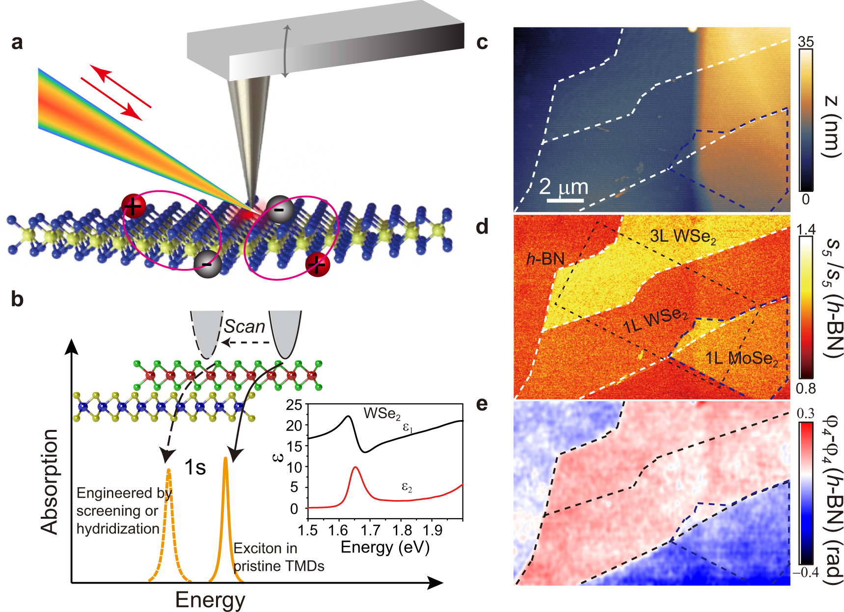Fig. 1: Near-field nano-probing of excitons in atomically thin transition metal dichalcogendies (TMDs).