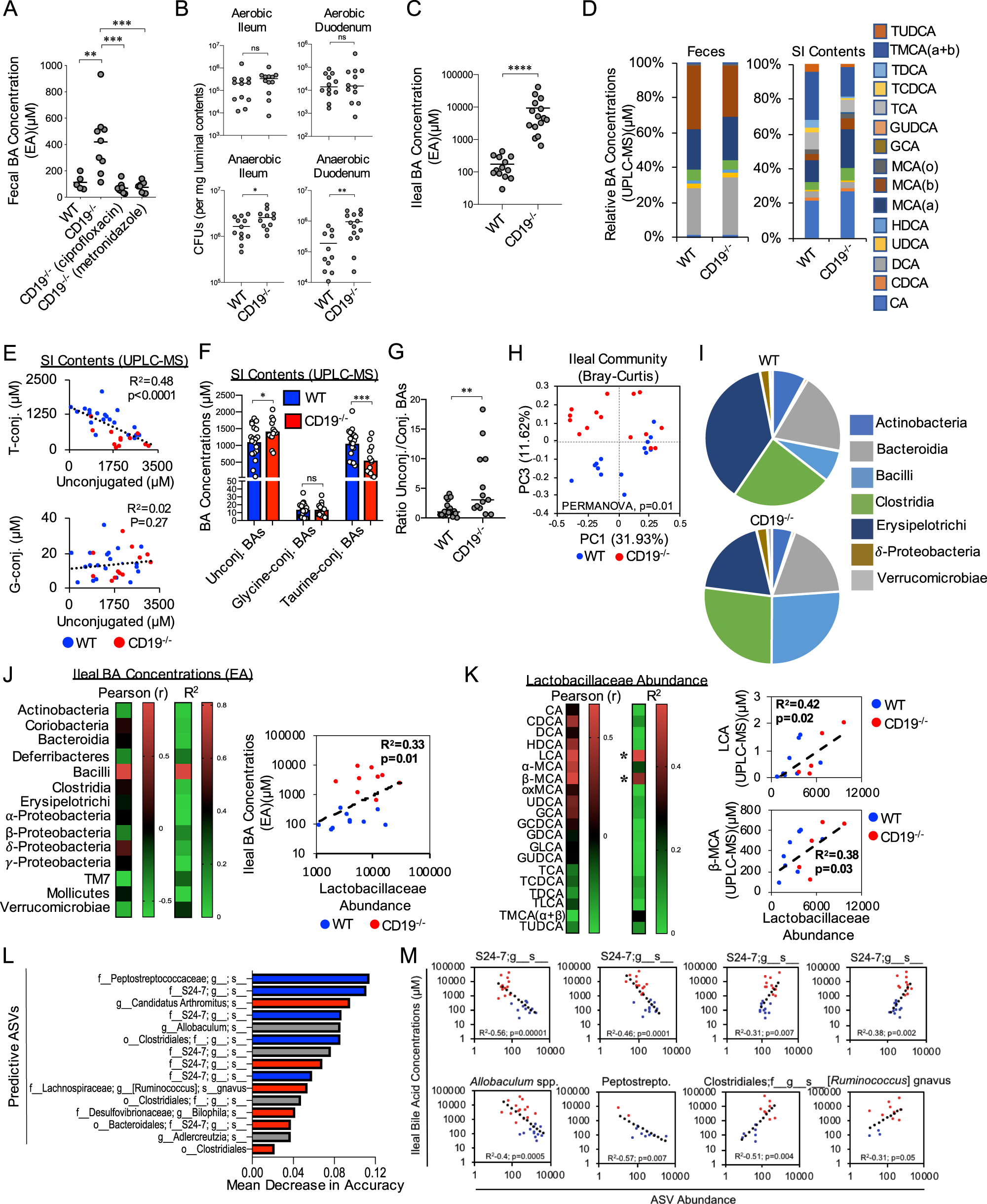 Defective humoral immunity disrupts bile acid homeostasis which promotes  inflammatory disease of the small bowel | Nature Communications