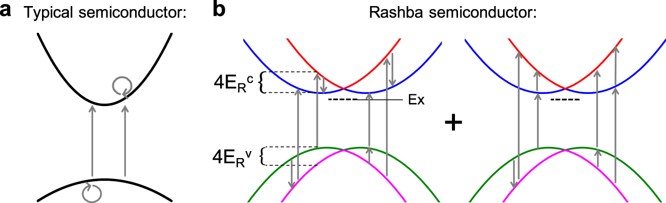 Rashba splitting in organic–inorganic lead–halide perovskites revealed  through two-photon absorption spectroscopy