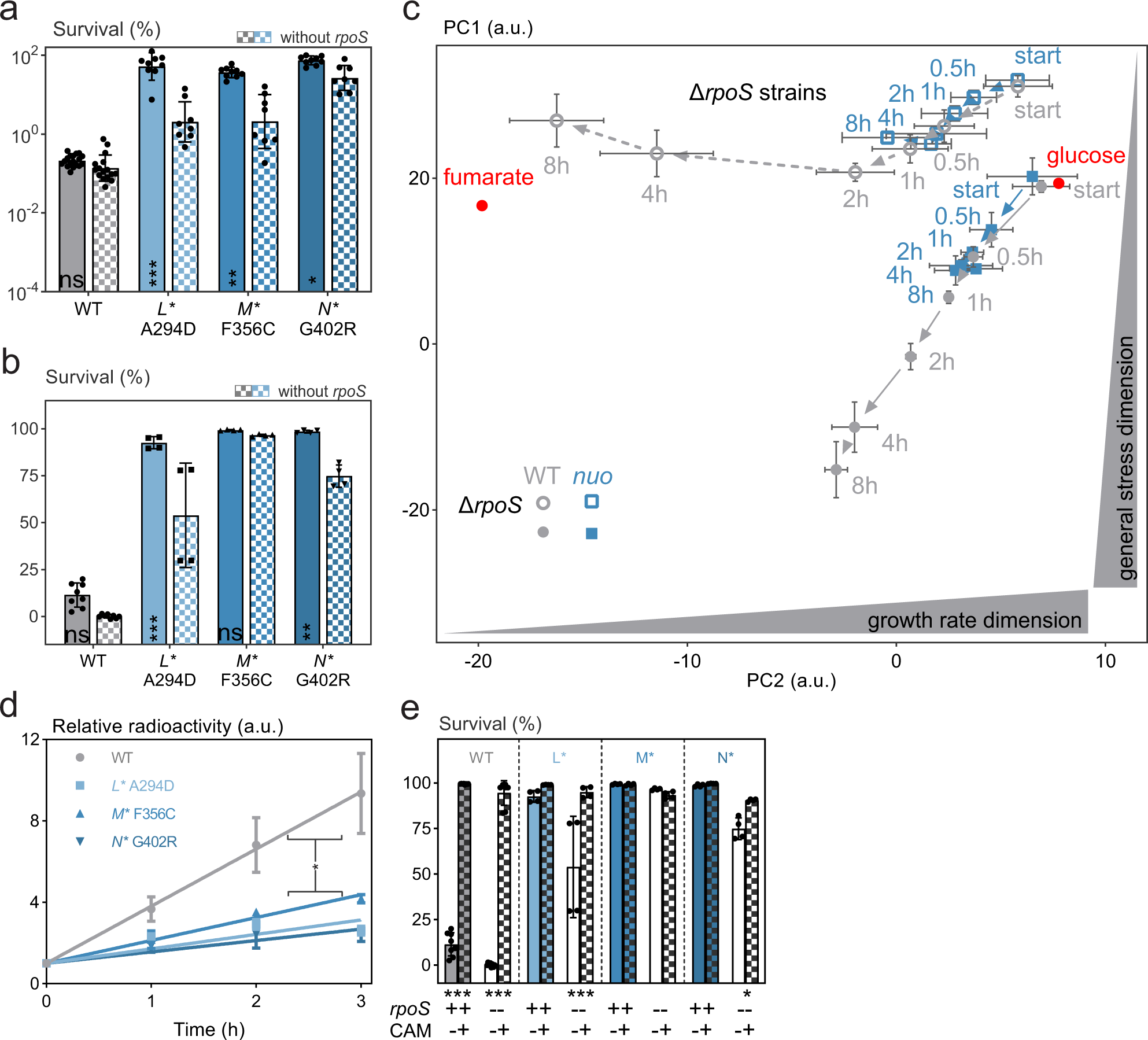 Fig. 6: RpoS and decreased protein synthesis contribute to increased persistence in nuo* mutants.