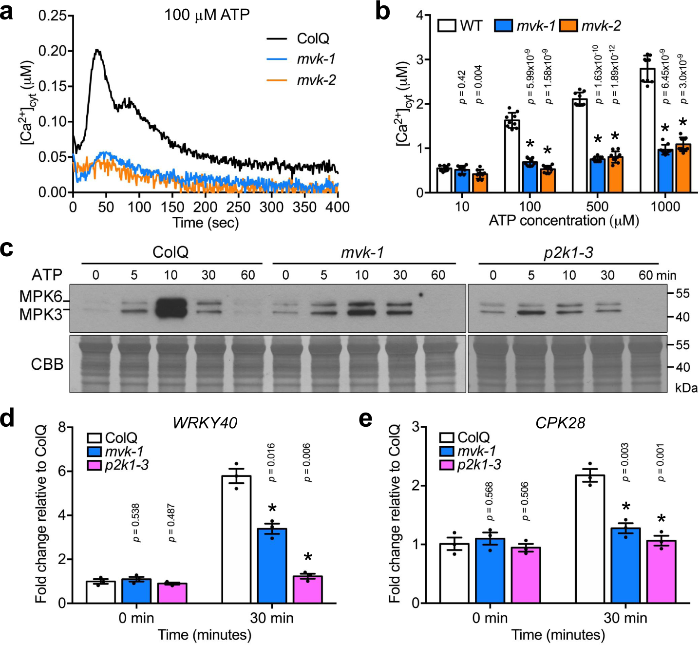 Activation of the plant mevalonate pathway by extracellular ATP Nature Communications