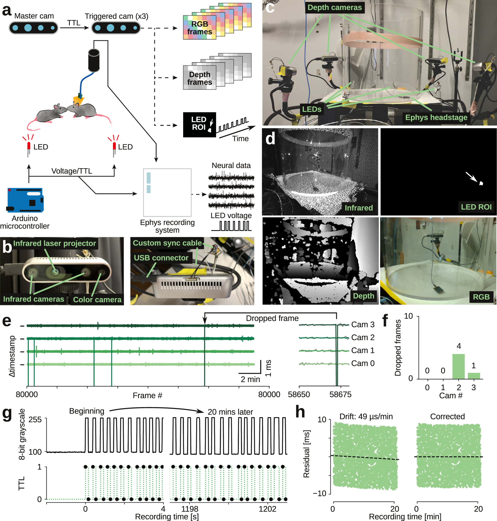 PDF] Optical Mouse: 3D Mouse Pose From Single-View Video