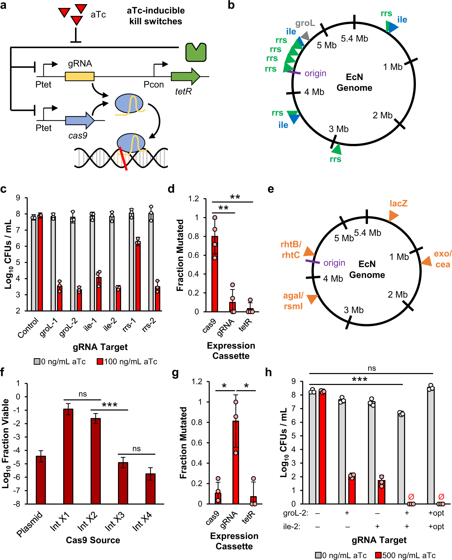 Genetically stable CRISPR-based kill switches for engineered microbes |  Nature Communications