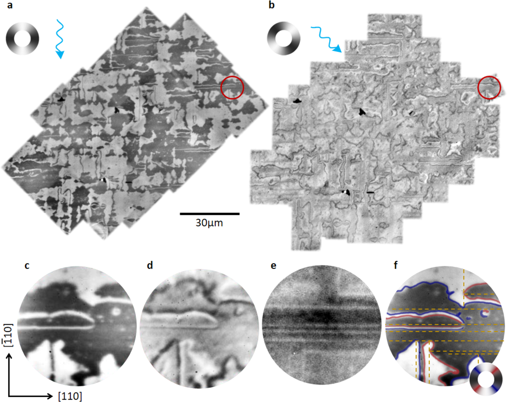 Fig. 1: AF domains and domain walls.