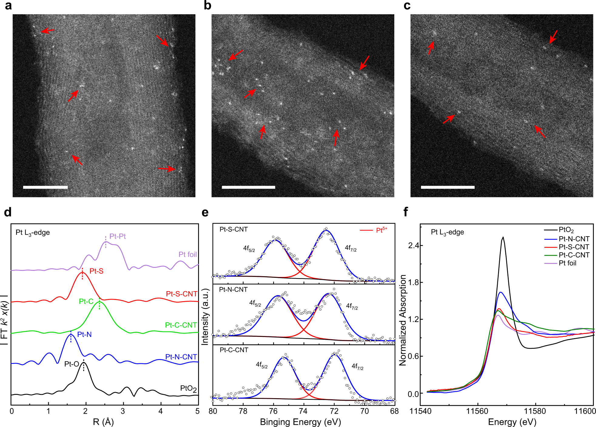 Manipulating the oxygen reduction reaction pathway on Pt ...