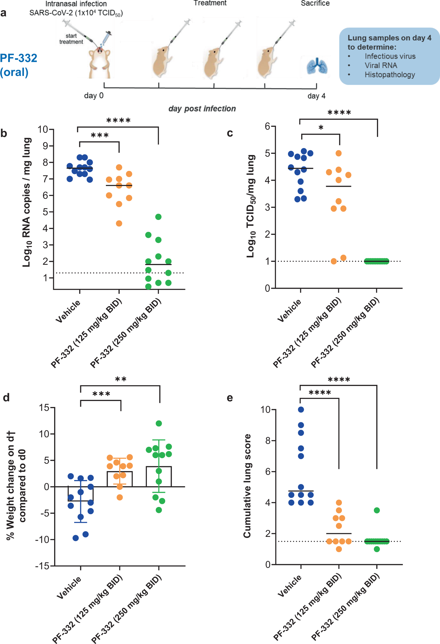 Fig. 2: In vivo efficacy of PF-332 against Beta SARS-CoV-2 (B.1.351) variant in Syrian hamsters.