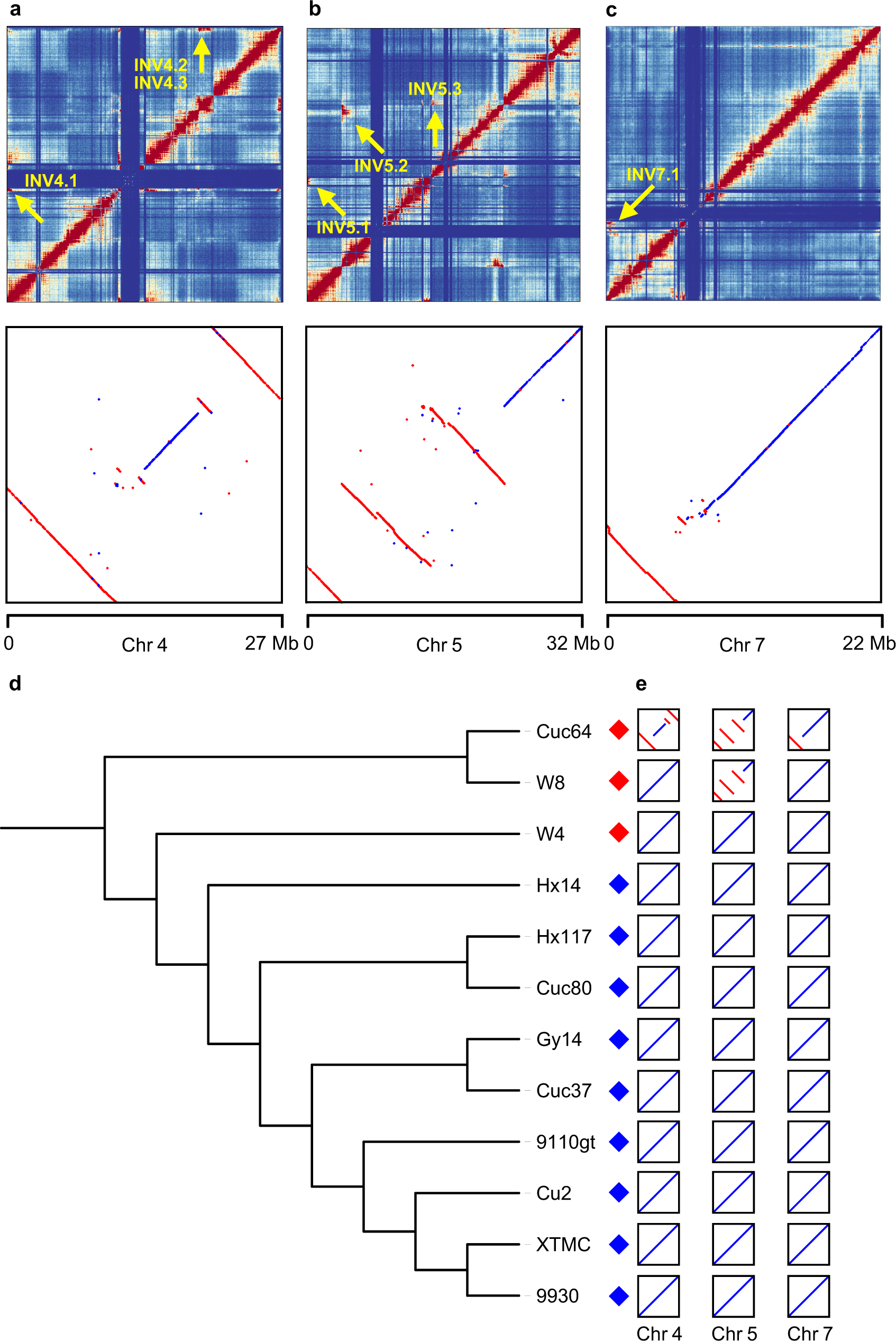 Orientation of flanking sequences neighboring to insertions in long reads