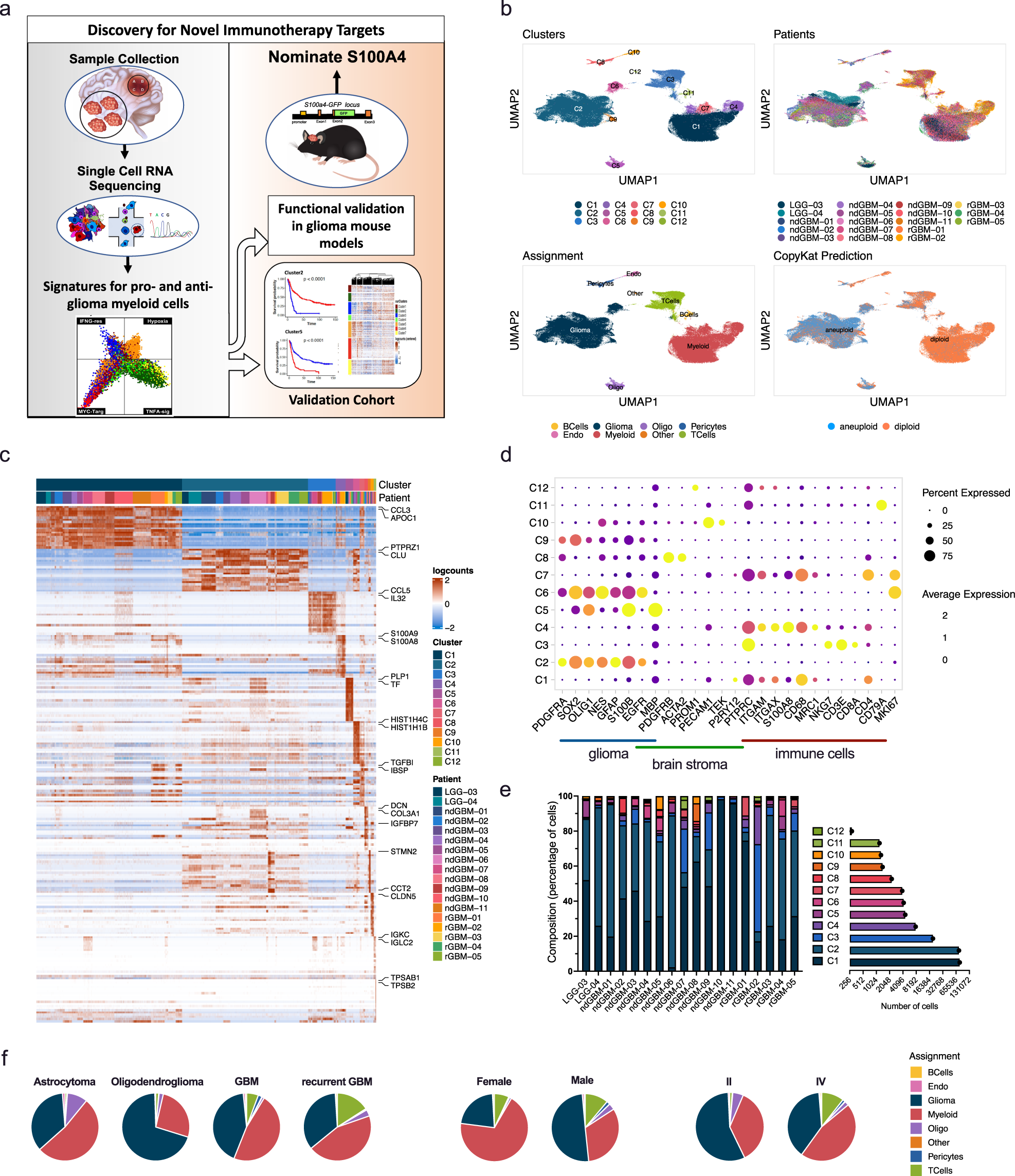 Fig. 1: Single-cell transcriptome analysis of human glioma and immune cells.