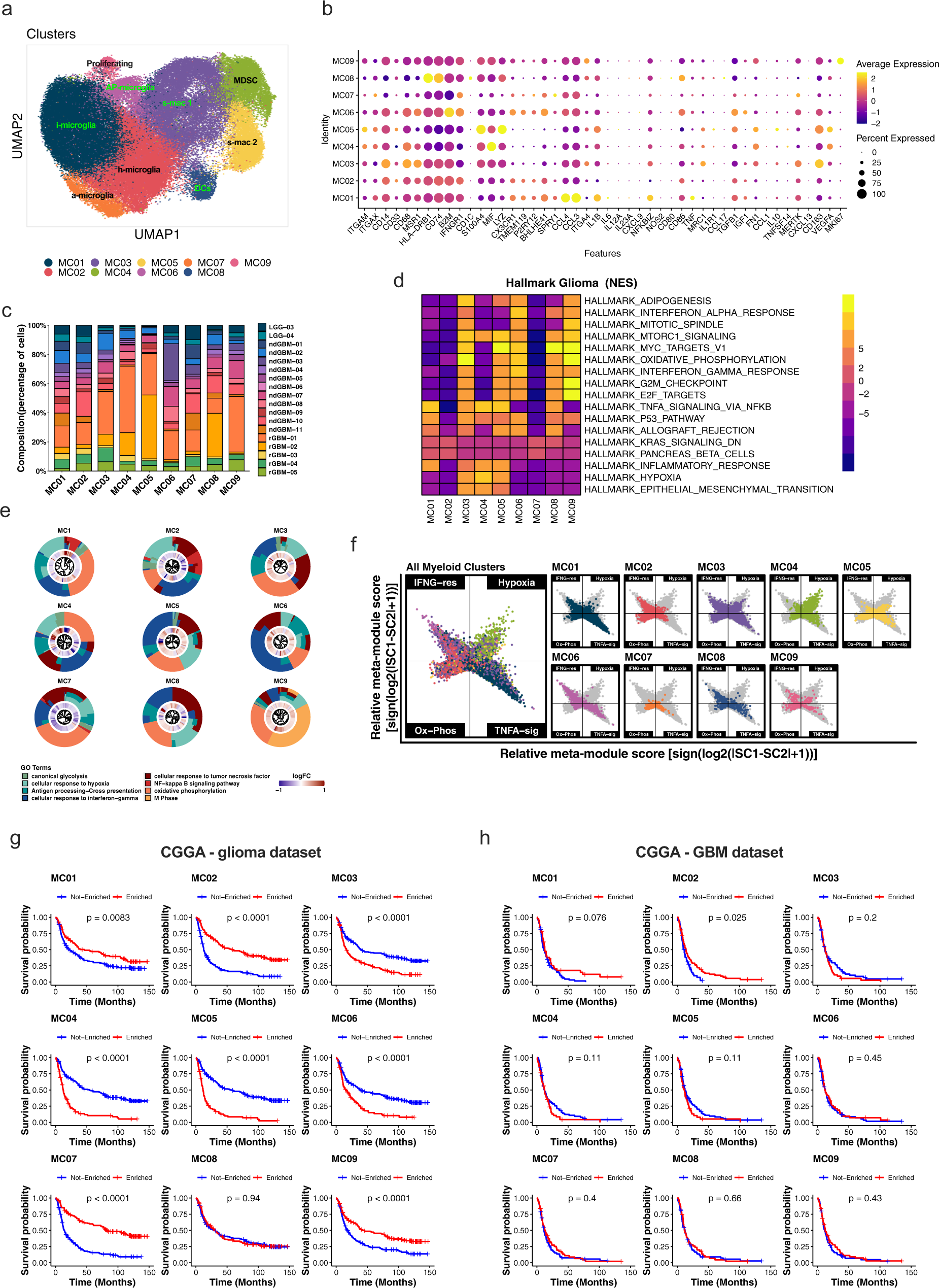 Fig. 4: Nine myeloid cell subtype signatures are predictive of patient survival.