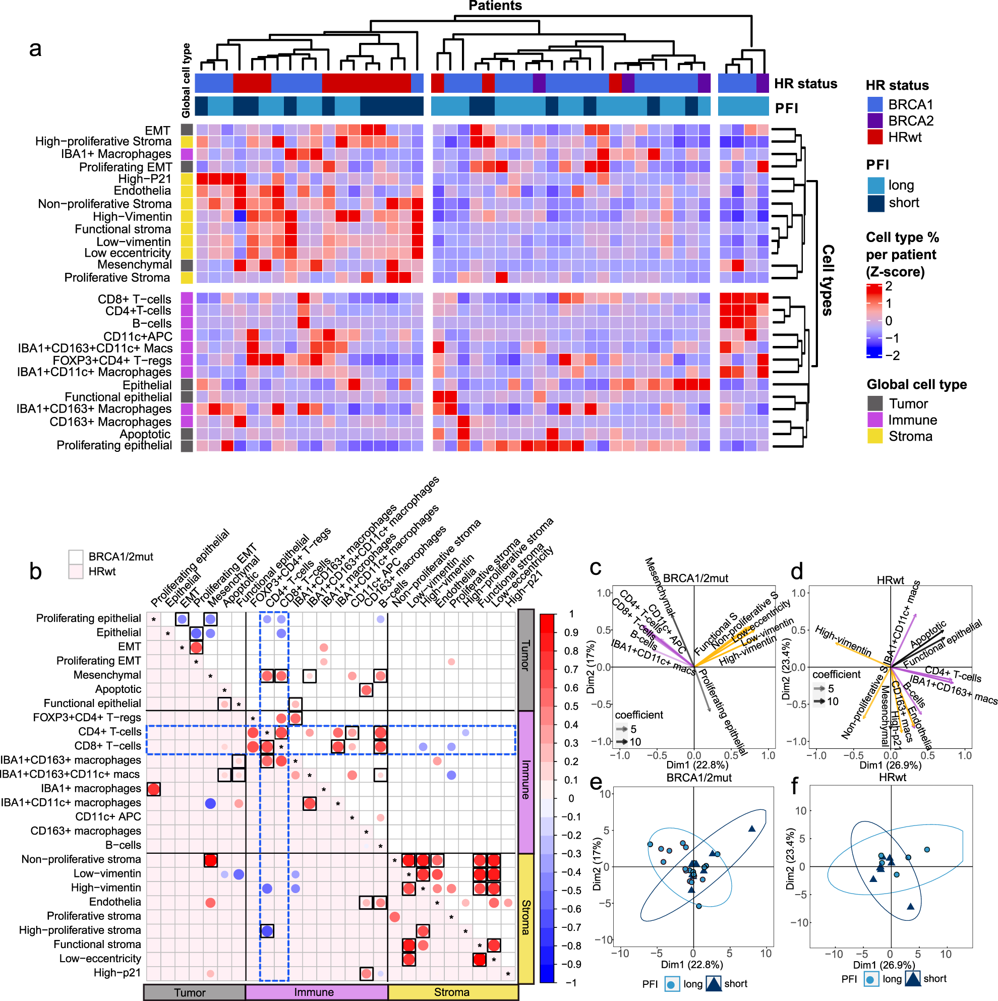 Fig. 4: HR-genotypes show different patterns of cell type co-occurrence with CD8 + T-cells and CD4 + T-cells.
