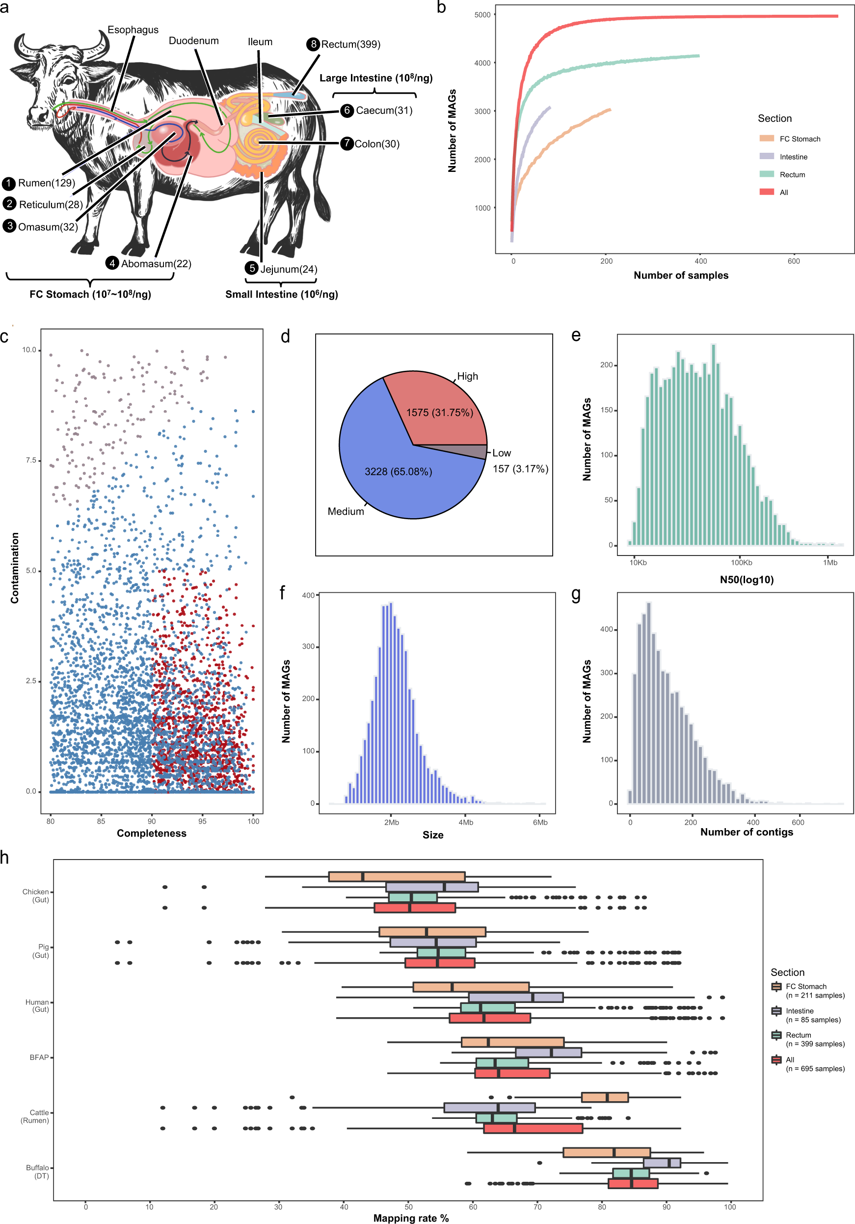 The microbiome of the buffalo digestive tract | Nature Communications