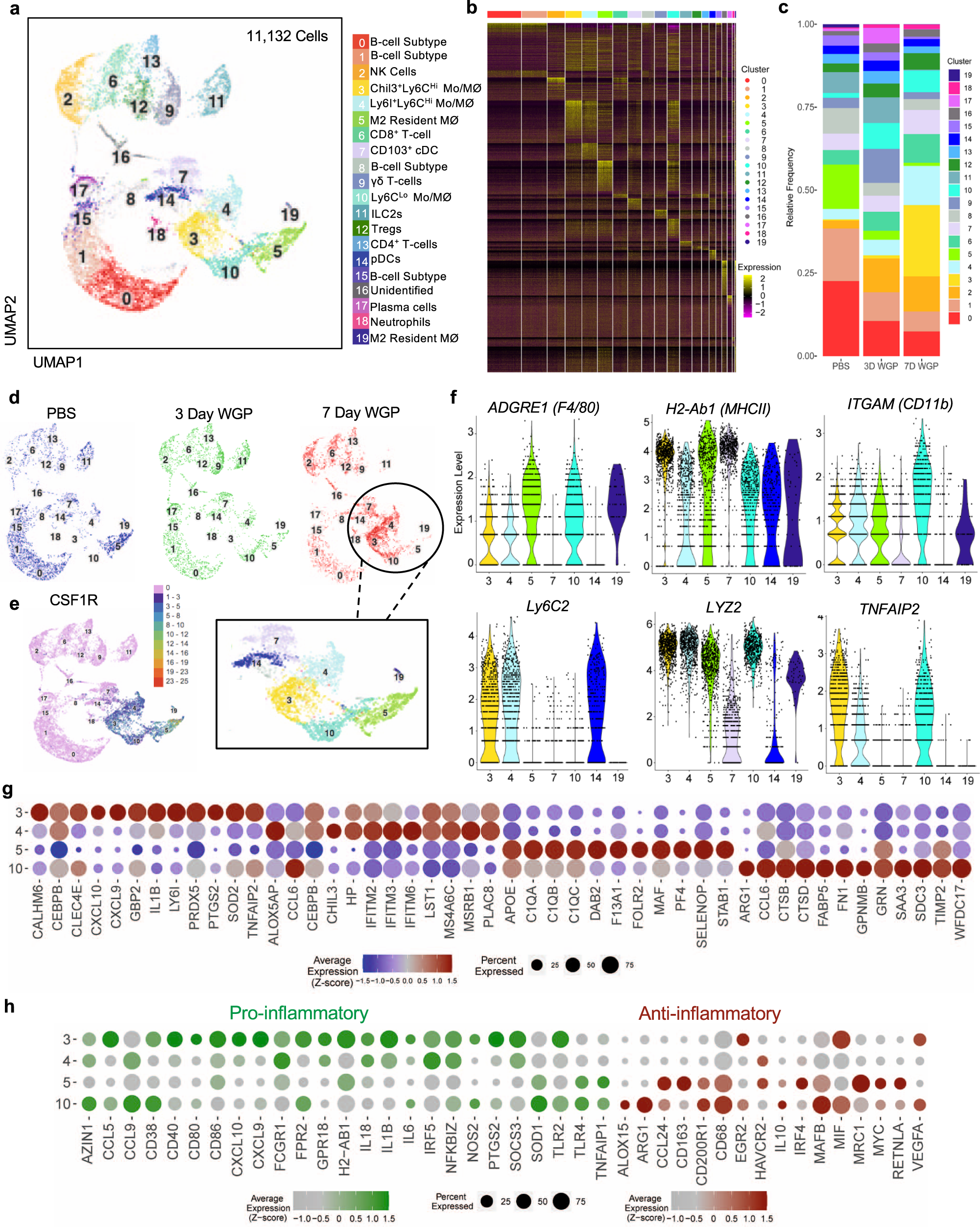 Fig. 3: Single-cell RNA-seq showing the immune cell phenotype 3 and 7 days following IP WGP.