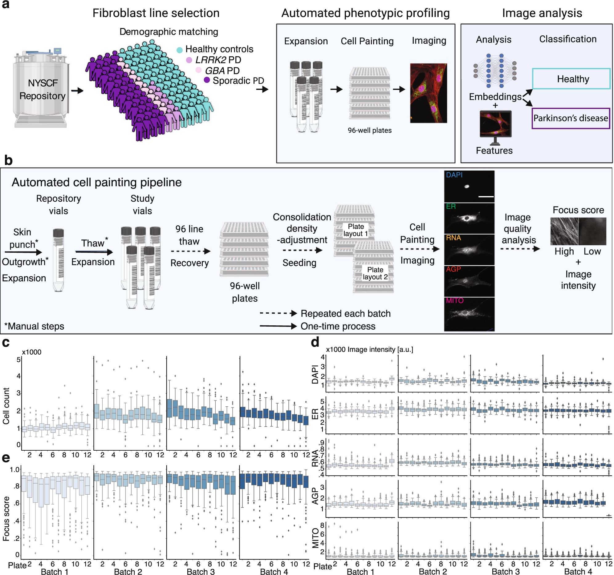 https://media.springernature.com/full/springer-static/image/art%3A10.1038%2Fs41467-022-28423-4/MediaObjects/41467_2022_28423_Fig1_HTML.png