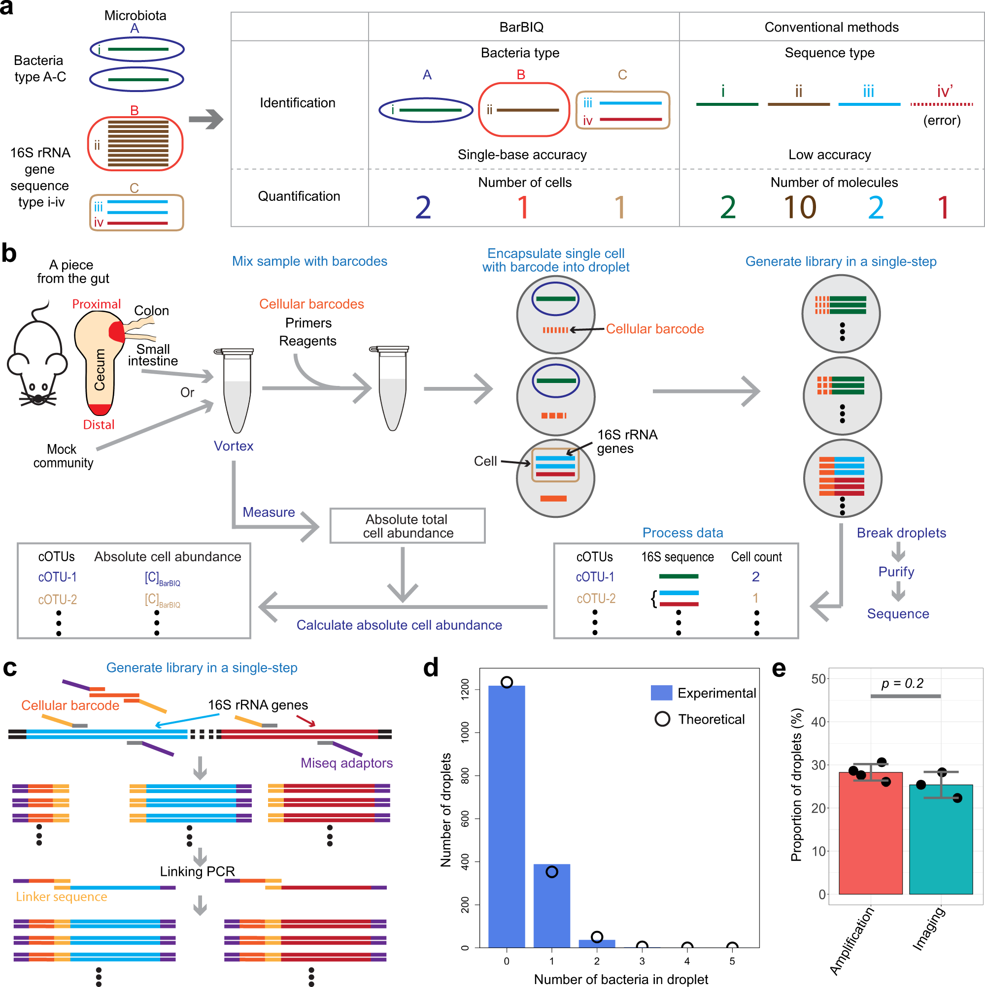 High-throughput identification and quantification of single bacterial cells  in the microbiota | Nature Communications